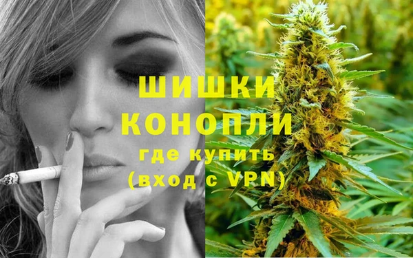 гидра Баксан